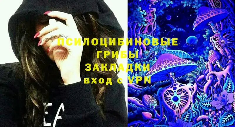 Псилоцибиновые грибы Psilocybine cubensis  маркетплейс официальный сайт  Новомичуринск 